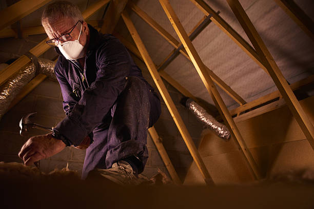 Best Insulation Maintenance and Repair in Feasterville, PA